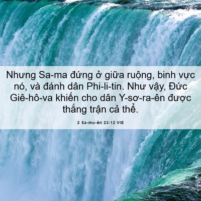 Picture 06 - 2 Sa-mu-ên 23:12 VIE - Nhưng Sa-ma đứng ở giữa ruộng, binh - Bible Verse Picture