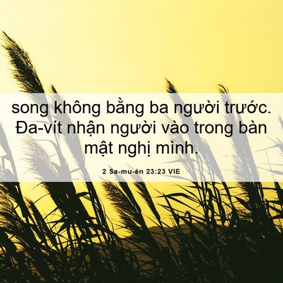 Picture 06 - 2 Sa-mu-ên 23:23 VIE - song không bằng ba người trước. Đa-vít - Bible Verse Picture