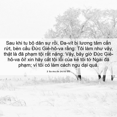 Picture 06 - 2 Sa-mu-ên 24:10 VIE - Sau khi tu bộ dân sự rồi, Đa-vít bị - Bible Verse Picture