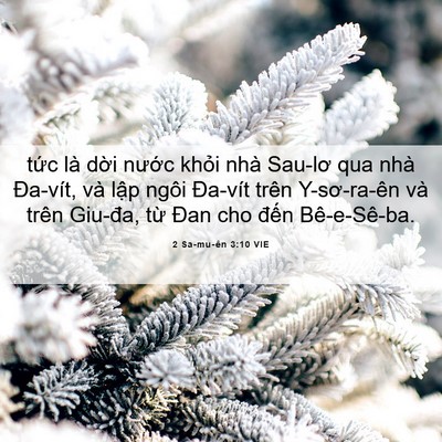 Picture 06 - 2 Sa-mu-ên 3:10 VIE - tức là dời nước khỏi nhà Sau-lơ qua - Bible Verse Picture