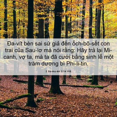 Picture 06 - 2 Sa-mu-ên 3:14 VIE - Đa-vít bèn sai sứ giả đến - Bible Verse Picture