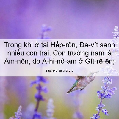 Picture 06 - 2 Sa-mu-ên 3:2 VIE - Trong khi ở tại Hếp-rôn, Đa-vít sanh - Bible Verse Picture