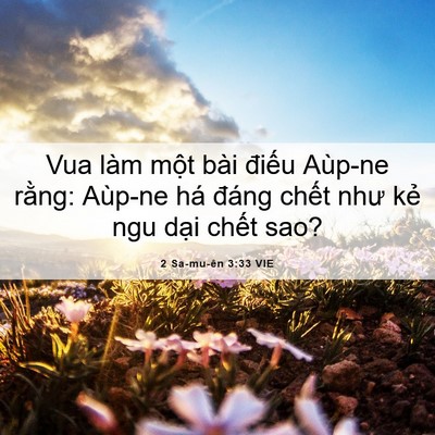 Picture 06 - 2 Sa-mu-ên 3:33 VIE - Vua làm một bài điếu Aùp-ne rằng: - Bible Verse Picture