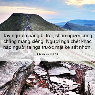 Picture 06 - 2 Sa-mu-ên 3:34 VIE - Tay ngươi chẳng bị trói, chân ngươi - Bible Verse Picture