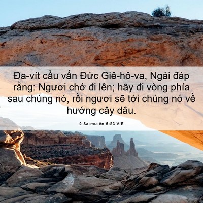Picture 06 - 2 Sa-mu-ên 5:23 VIE - Đa-vít cầu vấn Đức Giê-hô-va, Ngài - Bible Verse Picture