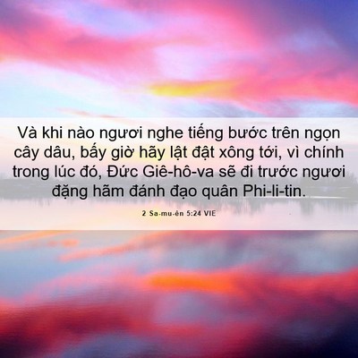 Picture 06 - 2 Sa-mu-ên 5:24 VIE - Và khi nào ngươi nghe tiếng bước trên - Bible Verse Picture