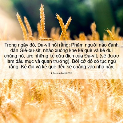 Picture 06 - 2 Sa-mu-ên 5:8 VIE - Trong ngày đó, Đa-vít nói rằng: Phàm - Bible Verse Picture