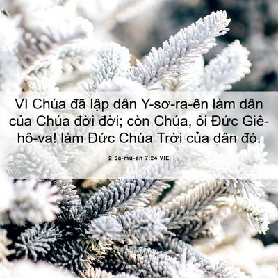 Picture 06 - 2 Sa-mu-ên 7:24 VIE - Vì Chúa đã lập dân Y-sơ-ra-ên làm dân - Bible Verse Picture