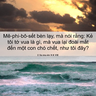 Picture 06 - 2 Sa-mu-ên 9:8 VIE - Mê-phi-bô-sết bèn lạy, mà nói rằng: - Bible Verse Picture