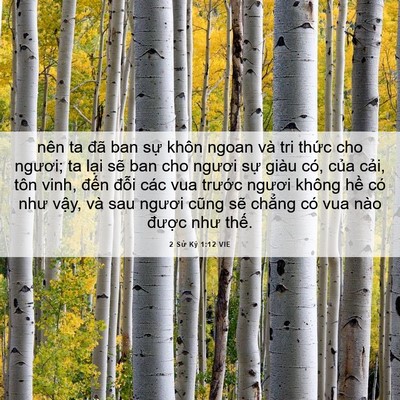 Picture 06 - 2 Sử Ký 1:12 VIE - nên ta đã ban sự khôn ngoan và tri thức - Bible Verse Picture