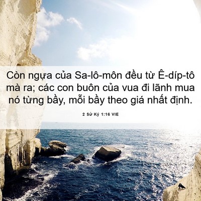 Picture 06 - 2 Sử Ký 1:16 VIE - Còn ngựa của Sa-lô-môn đều từ - Bible Verse Picture