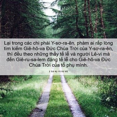Picture 06 - 2 Sử Ký 11:16 VIE - Lại trong các chi phái Y-sơ-ra-ên, phàm ai - Bible Verse Picture
