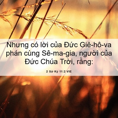 Picture 06 - 2 Sử Ký 11:2 VIE - Nhưng có lời của Đức Giê-hô-va phán - Bible Verse Picture