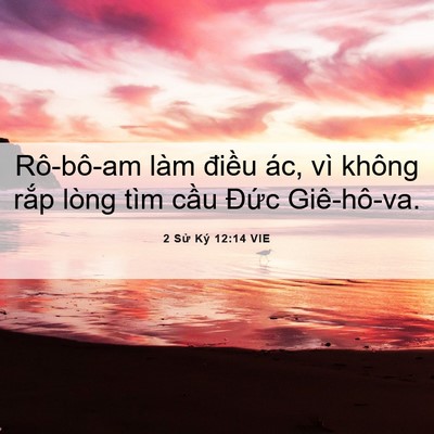 Picture 06 - 2 Sử Ký 12:14 VIE - Rô-bô-am làm điều ác, vì không rắp - Bible Verse Picture