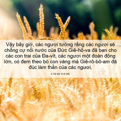 Picture 06 - 2 Sử Ký 13:8 VIE - Vậy bây giờ, các ngươi tưởng rằng - Bible Verse Picture