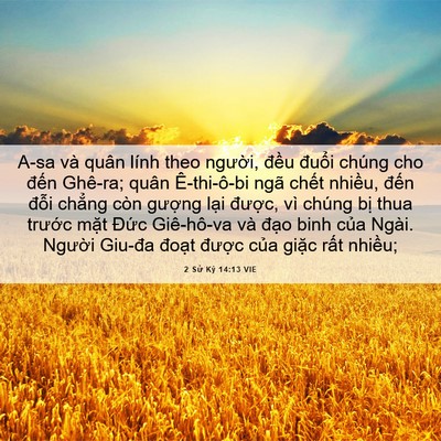 Picture 06 - 2 Sử Ký 14:13 VIE - A-sa và quân lính theo người, đều - Bible Verse Picture