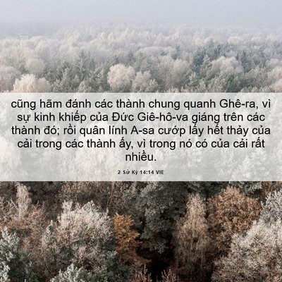 Picture 06 - 2 Sử Ký 14:14 VIE - cũng hãm đánh các thành chung quanh - Bible Verse Picture