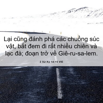 Picture 06 - 2 Sử Ký 14:15 VIE - Lại cũng đánh phá các chuồng súc vật, - Bible Verse Picture
