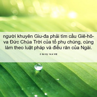 Picture 06 - 2 Sử Ký 14:4 VIE - người khuyên Giu-đa phải tìm cầu - Bible Verse Picture