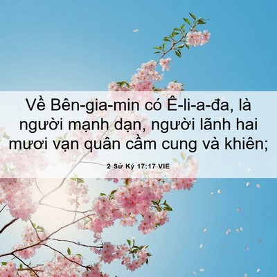 Picture 06 - 2 Sử Ký 17:17 VIE - Về Bên-gia-min có Ê-li-a-đa, là người - Bible Verse Picture