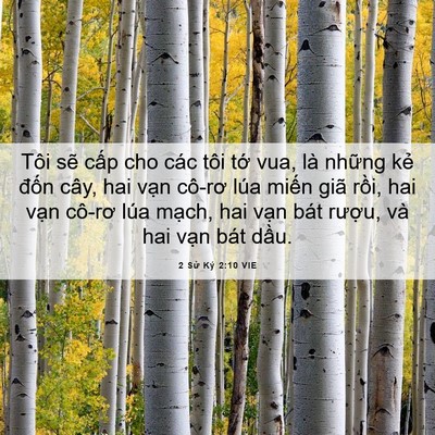Picture 06 - 2 Sử Ký 2:10 VIE - Tôi sẽ cấp cho các tôi tớ vua, là - Bible Verse Picture