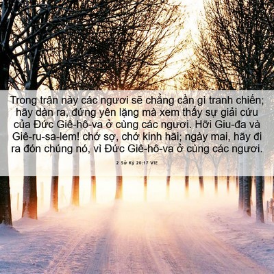 Picture 06 - 2 Sử Ký 20:17 VIE - Trong trận này các ngươi sẽ chẳng cần - Bible Verse Picture