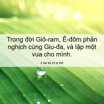 Picture 06 - 2 Sử Ký 21:8 VIE - Trong đời Giô-ram, Ê-đôm phản nghịch - Bible Verse Picture