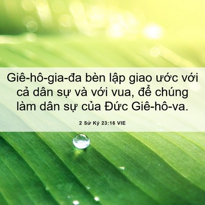 Picture 06 - 2 Sử Ký 23:16 VIE - Giê-hô-gia-đa bèn lập giao ước với - Bible Verse Picture