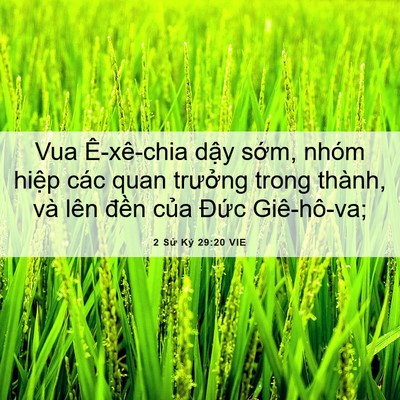 Picture 06 - 2 Sử Ký 29:20 VIE - Vua Ê-xê-chia dậy sớm, nhóm hiệp các - Bible Verse Picture