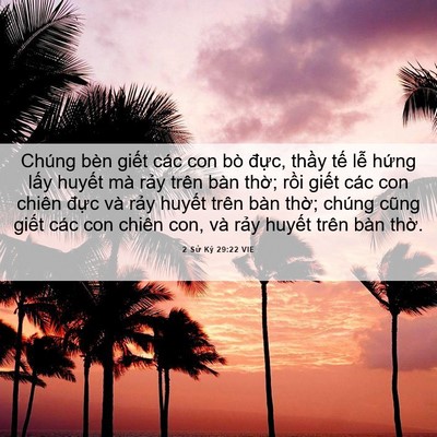 Picture 06 - 2 Sử Ký 29:22 VIE - Chúng bèn giết các con bò đực, thầy - Bible Verse Picture