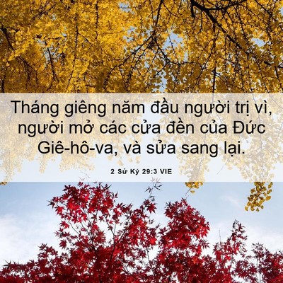 Picture 06 - 2 Sử Ký 29:3 VIE - Tháng giêng năm đầu người trị vì, - Bible Verse Picture
