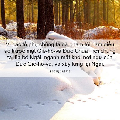 Picture 06 - 2 Sử Ký 29:6 VIE - Vì các tổ phụ chúng ta đã phạm tội, - Bible Verse Picture