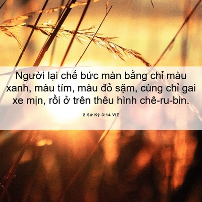 Picture 06 - 2 Sử Ký 3:14 VIE - Người lại chế bức màn bằng chỉ màu - Bible Verse Picture