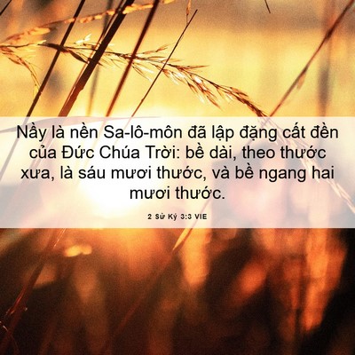 Picture 06 - 2 Sử Ký 3:3 VIE - Nầy là nền Sa-lô-môn đã lập đặng - Bible Verse Picture