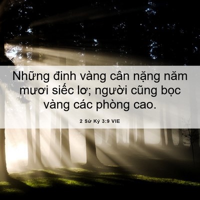 Picture 06 - 2 Sử Ký 3:9 VIE - Những đinh vàng cân nặng năm mươi - Bible Verse Picture
