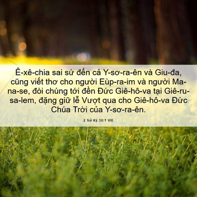 Picture 06 - 2 Sử Ký 30:1 VIE - Ê-xê-chia sai sứ đến cả Y-sơ-ra-ên và - Bible Verse Picture