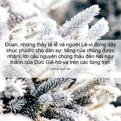 Picture 06 - 2 Sử Ký 30:27 VIE - Đoạn, những thầy tế lễ và người - Bible Verse Picture