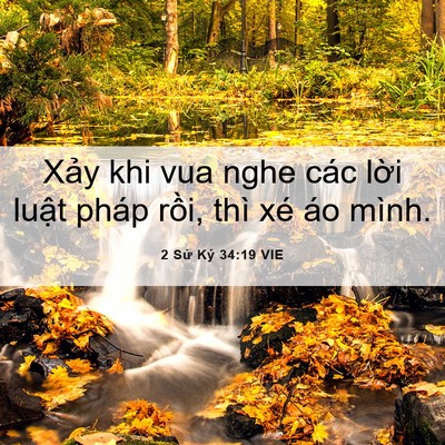 Picture 06 - 2 Sử Ký 34:19 VIE - Xảy khi vua nghe các lời luật pháp rồi, - Bible Verse Picture