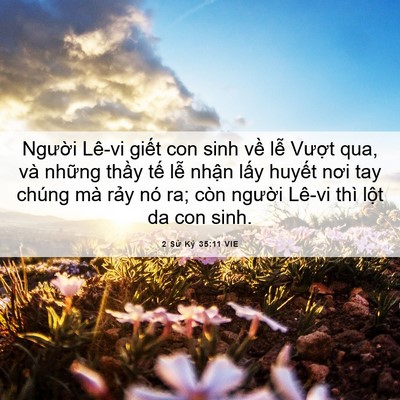Picture 06 - 2 Sử Ký 35:11 VIE - Người Lê-vi giết con sinh về lễ Vượt - Bible Verse Picture