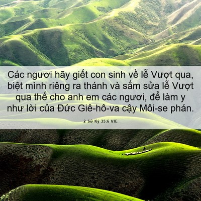 Picture 06 - 2 Sử Ký 35:6 VIE - Các ngươi hãy giết con sinh về lễ - Bible Verse Picture