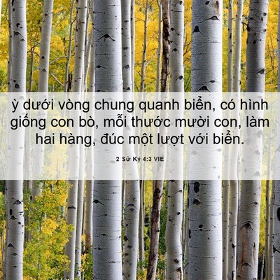 Picture 06 - 2 Sử Ký 4:3 VIE - ỳ dưới vòng chung quanh biển, có hình - Bible Verse Picture