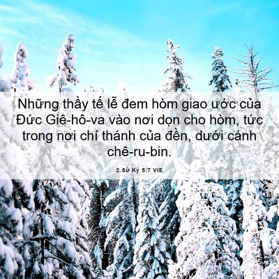 Picture 06 - 2 Sử Ký 5:7 VIE - Những thầy tế lễ đem hòm giao ước - Bible Verse Picture