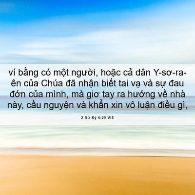 Picture 06 - 2 Sử Ký 6:29 VIE - ví bằng có một người, hoặc cả dân - Bible Verse Picture