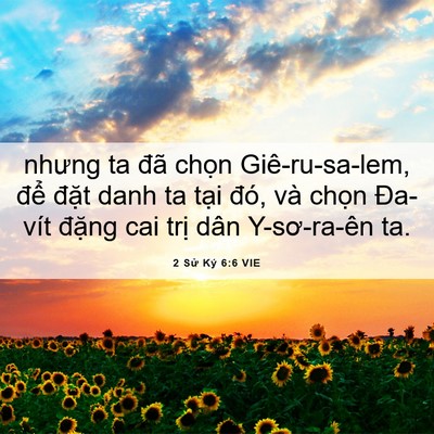 Picture 06 - 2 Sử Ký 6:6 VIE - nhưng ta đã chọn Giê-ru-sa-lem, để - Bible Verse Picture