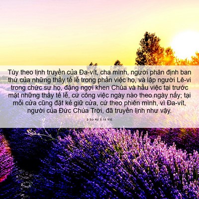 Picture 06 - 2 Sử Ký 8:14 VIE - Tùy theo lịnh truyền của Đa-vít, cha - Bible Verse Picture