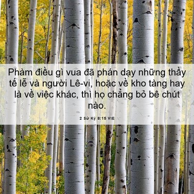 Picture 06 - 2 Sử Ký 8:15 VIE - Phàm điều gì vua đã phán dạy những - Bible Verse Picture