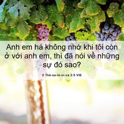 Picture 06 - 2 Thê-sa-lô-ni-ca 2:5 VIE - Anh em há không nhớ khi tôi còn ở với - Bible Verse Picture