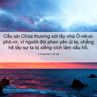 Picture 06 - 2 Ti-mô-thê 1:16 VIE - Cầu xin Chúa thương xót lấy nhà - Bible Verse Picture