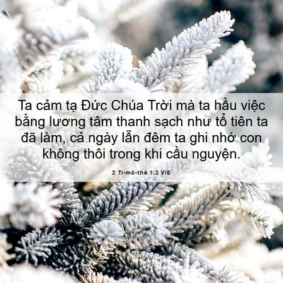 Picture 06 - 2 Ti-mô-thê 1:3 VIE - Ta cảm tạ Đức Chúa Trời mà ta hầu - Bible Verse Picture