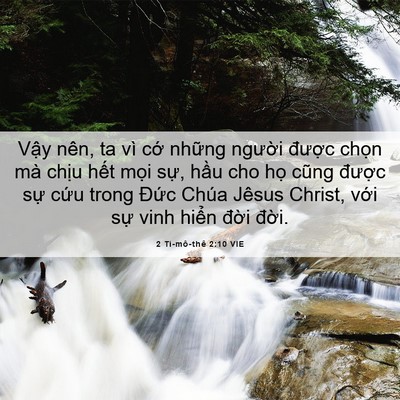Picture 06 - 2 Ti-mô-thê 2:10 VIE - Vậy nên, ta vì cớ những người được - Bible Verse Picture